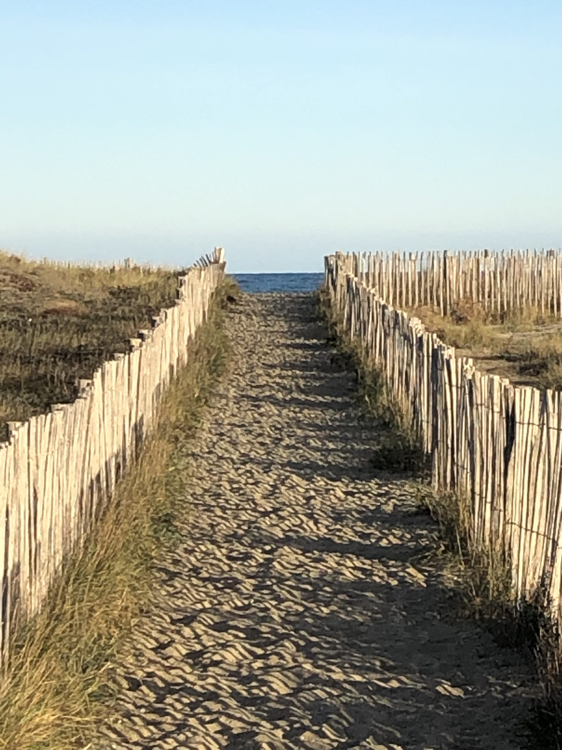 Chemin entre les dunes Foncier Sud